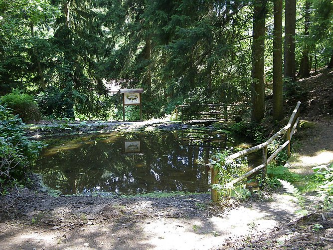 Der Harzgarten in Stolberg soll wieder hergerichtet werden (Foto: Biosph&auml;renreservat Karstlandschaft S&uuml;dharz)