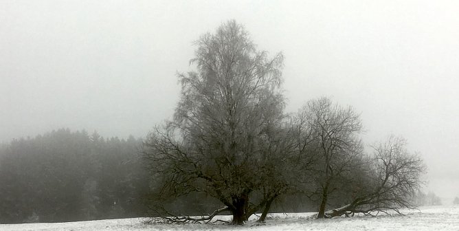 wetter (Foto: oas) wetter (Foto: oas)