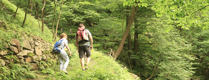 Wandern im Harz (Foto: nnz-Archiv) Wandern im Harz (Foto: nnz-Archiv)