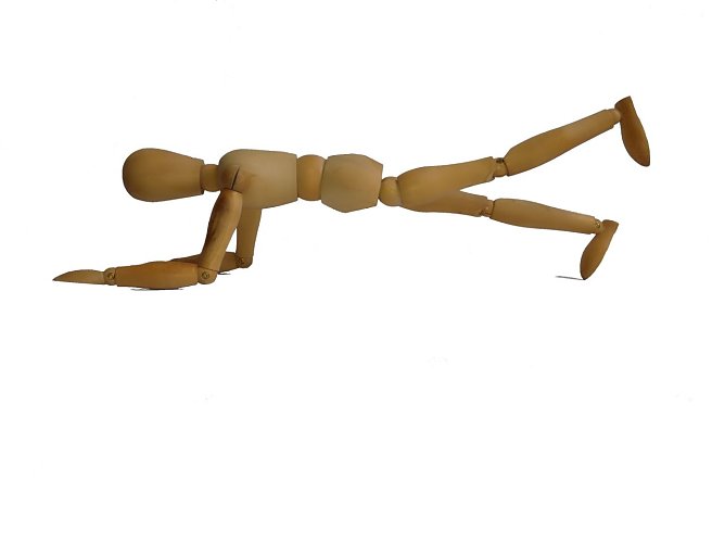 Unterarmstütz (Foto: Martin Räcke) Unterarmstütz (Foto: Martin Räcke)