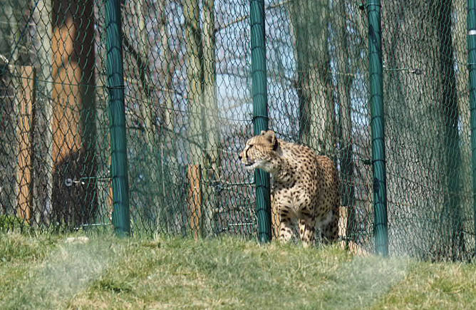 Besuch auf dem Possen (Foto: J&uuml;rgen Friedling)