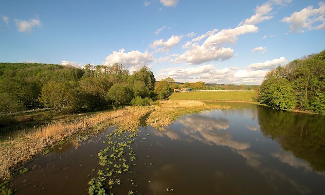 Wetter (Foto: P.Blei) Wetter (Foto: P.Blei)
