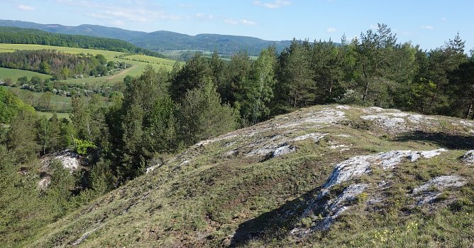 Landschaftspflegearbeiten im S&uuml;dharz (Foto: Sarah Backhaus)