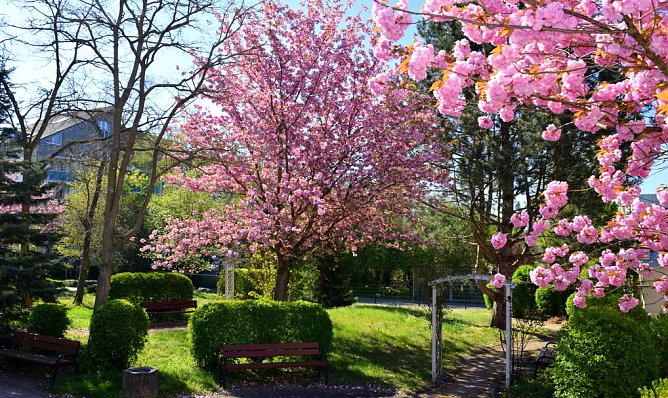 DRK-Pflegeheim Nordhausen (Foto: D.Apel)