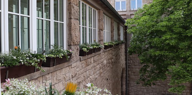 Sommerbepflanzung im Stadtgebiet (Foto: &copy;Stadtverwaltung Nordhausen)