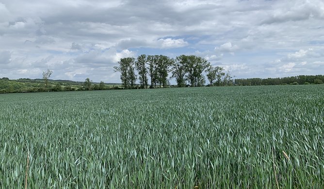 Windlücke (Foto: oas) Windlücke (Foto: oas)