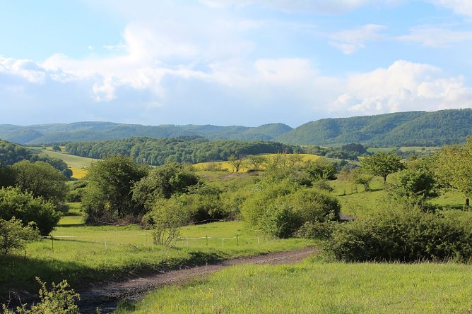 Karstlandschaft am s&uuml;dlichen Harzrand (Foto: A. Richter)