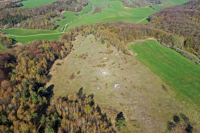 Am 4. Juli geht es zur Hotspot-Wanderung rund um die Pfaffenk&ouml;pfe (Foto: Detlef Stremke)