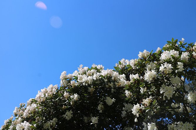 Wetterbild (Foto: agl) Wetterbild (Foto: agl)