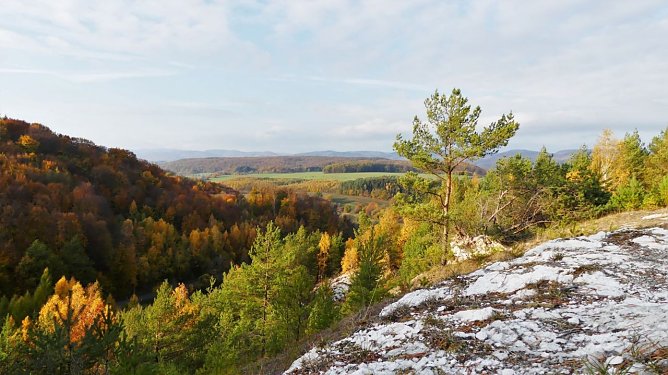 Ein freiwilliges Jahr in der Natur - Interessenten k&ouml;nnen sich jetzt beim Naturpark S&uuml;dharz bewerben (Foto: P. Schneller)