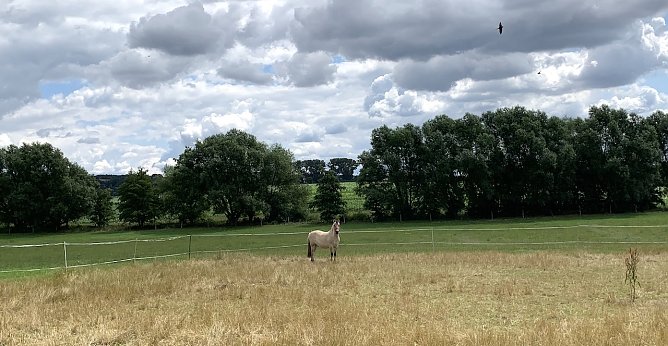 Windlücke (Foto: oas) Windlücke (Foto: oas)