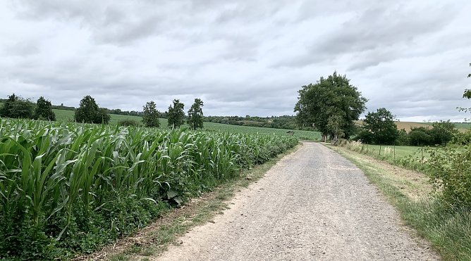 Nordhausen/Windl&uuml;cke (Foto: oas)