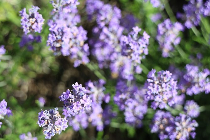 Wetterbild (Foto: agl) Wetterbild (Foto: agl)