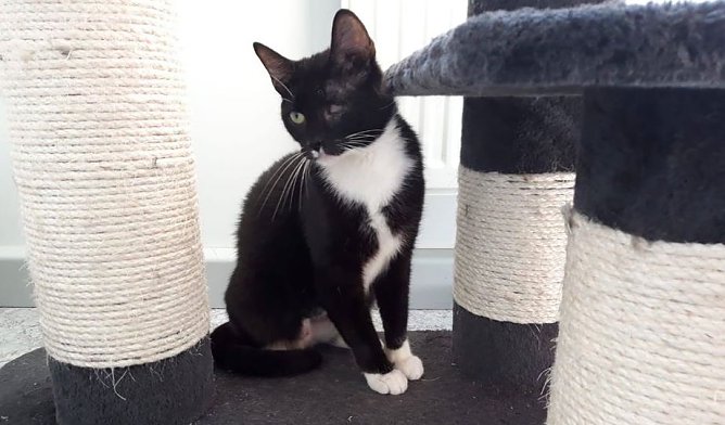 Mama Sandy (Foto: THN) Mama Sandy (Foto: THN)