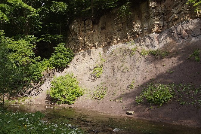 Tag des Geotops am 20. September in der "Langen wand" (Foto: L.Schubert) Tag des Geotops am 20. September in der "Langen wand" (Foto: L.Schubert)