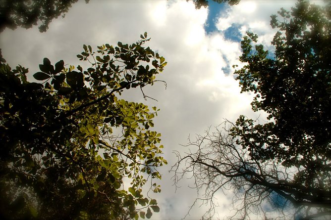 Wetterbild (Foto: agl) Wetterbild (Foto: agl)