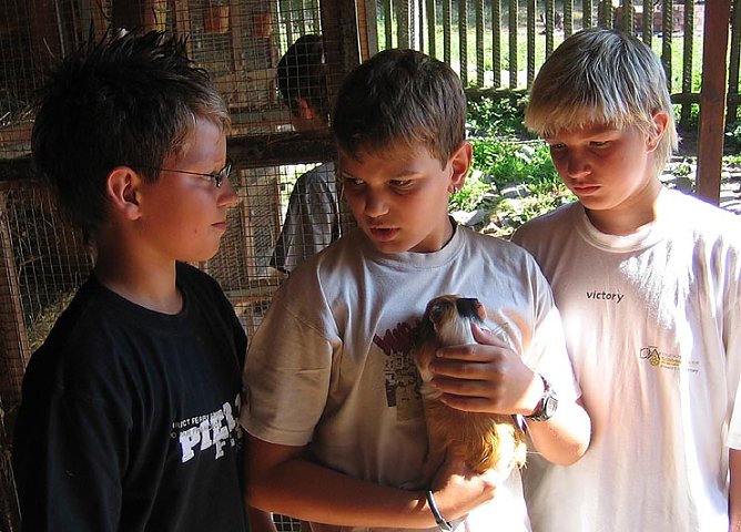 Im Schullandheim Harzrigi (Foto: Horizont) Im Schullandheim Harzrigi (Foto: Horizont)