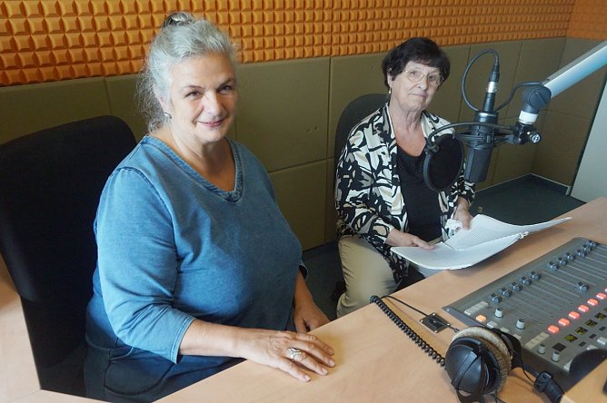 Silberdisteln bei ENNO (Foto: S.Witzel) Silberdisteln bei ENNO (Foto: S.Witzel)