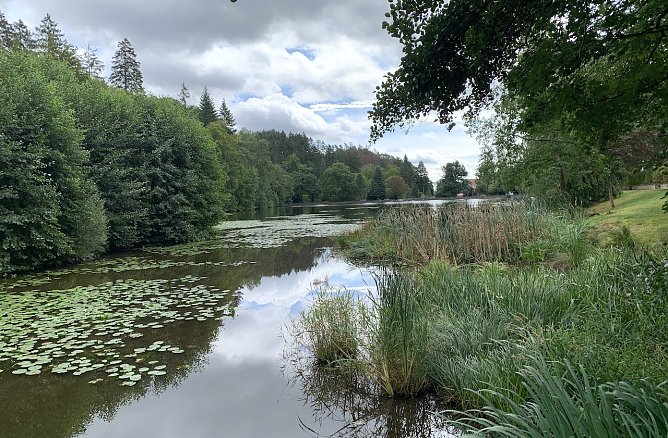 Kurpark Bad Sachsa (Foto: oas)