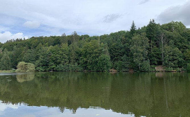 Teich in Bad Sachsa (Foto: oas) Teich in Bad Sachsa (Foto: oas)