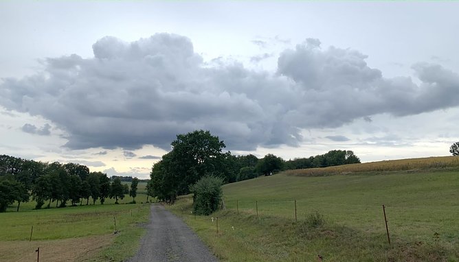 Bei Limlingerode (Foto: oas) Bei Limlingerode (Foto: oas)