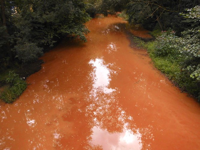 Die verschmutzte Zorge: Kein Gift - nur Schlamm (Foto: B.Thielbeer)