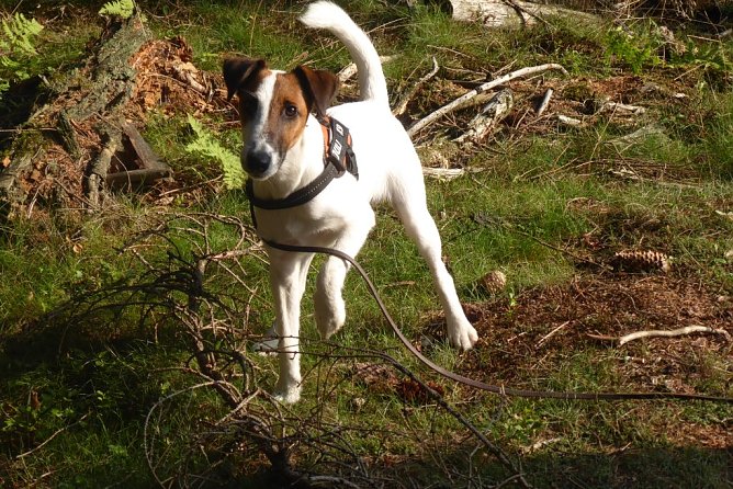 Wer hat Malte gesehen? (Foto: Familie Kneffel) Wer hat Malte gesehen? (Foto: Familie Kneffel)