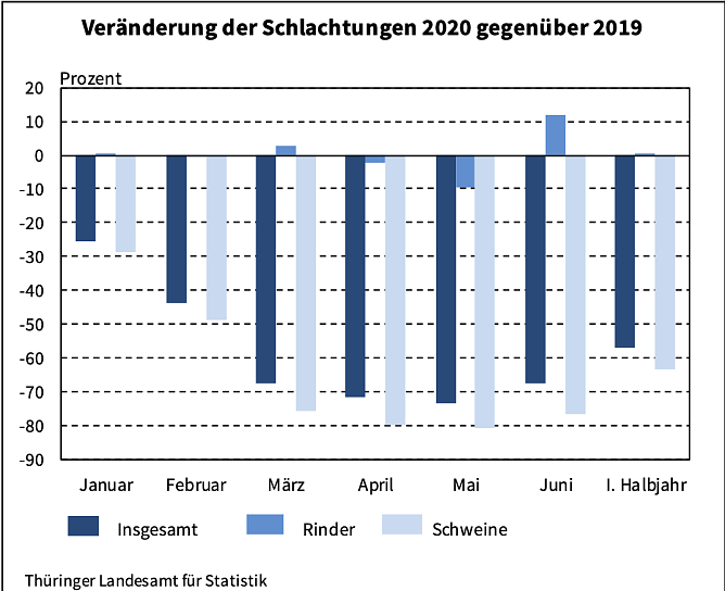 Veränderungen der Schlachtungen gegenüber 2019 (Foto: Thüringer Landesamt für Statistik) Veränderungen der Schlachtungen gegenüber 2019 (Foto: Thüringer Landesamt für Statistik)