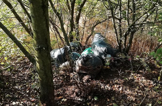 illegale Müllentsorgung an der Zeppelinbrücke (Foto: S.Beller) illegale Müllentsorgung an der Zeppelinbrücke (Foto: S.Beller)