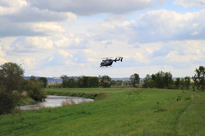 Gro&szlig;wildjagd (Foto: Silvio Dietzel)