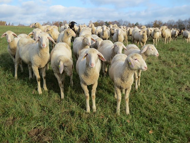 Endspurt im Hotspot-Fotowettbewerb (Foto: Sarah Backhaus)