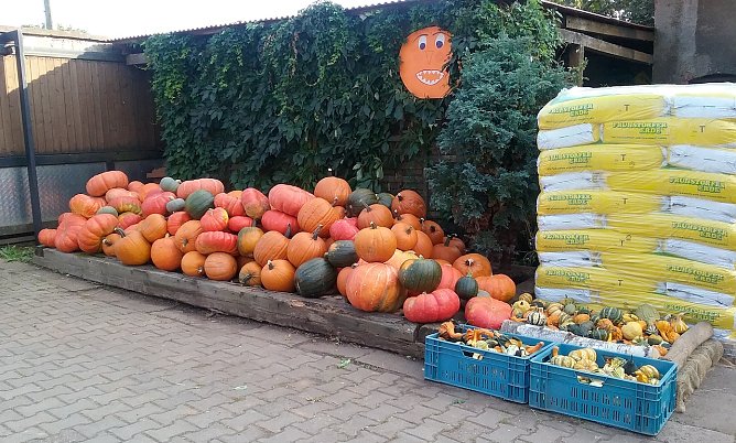 Nordh&auml;user Markt im Herbst (Foto: A.Heise)