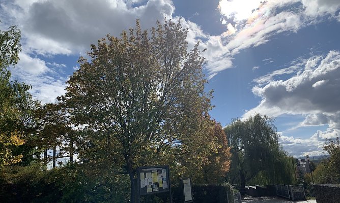 In Nordhausen  (Foto: oas)