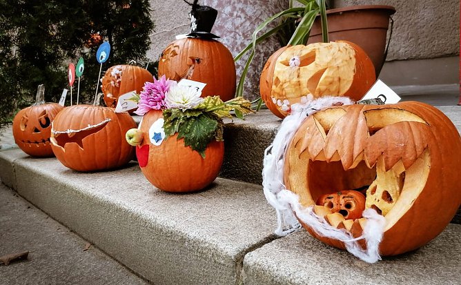 Gruseliges im Domshlösschen (Foto: P.Suhr) Gruseliges im Domshlösschen (Foto: P.Suhr)