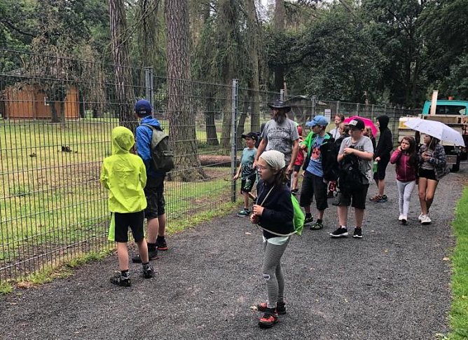 Herbstferiencamp in Harzrigi mit vielen Ausflügen (Foto: Horizont Verein) Herbstferiencamp in Harzrigi mit vielen Ausflügen (Foto: Horizont Verein)