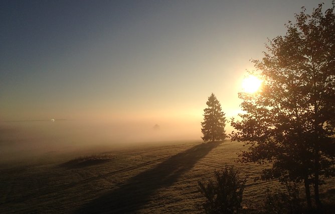 Sonnenaufgang bei Benneckenstein (Foto: oas) Sonnenaufgang bei Benneckenstein (Foto: oas)