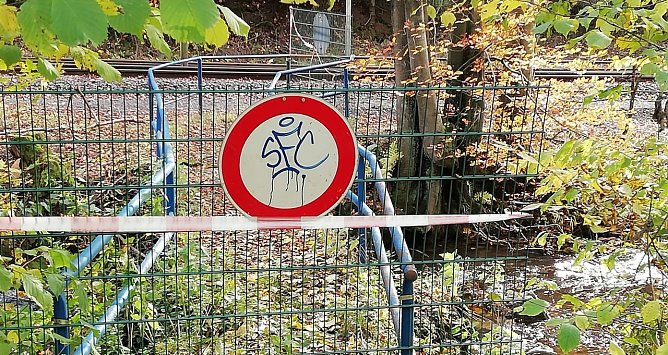 Auf dem Foto sind im Hintergrund die Gleise der HSB zu erkennen (Foto: W. J&ouml;rgens)