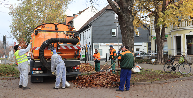 Mission Laub auf Nordhausens Stra&szlig;en (Foto: Stadtverwaltung Nordhausen)