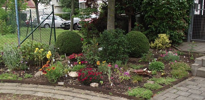 Nur eine kleine Ecke vor der Haust&uuml;r, aber bienen- und umweltfreundlich gestaltet. (Foto: Anton Adlerauge)