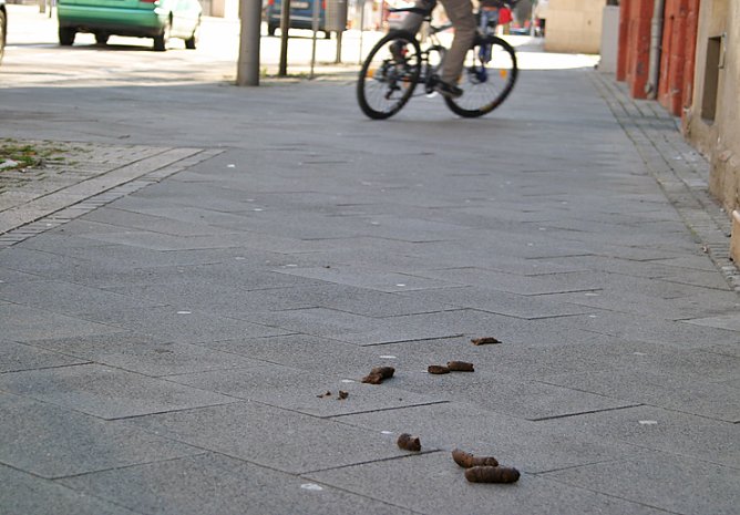 Tretmine in der Bahnhofstraße (Foto: wirsinds) Tretmine in der Bahnhofstraße (Foto: wirsinds)