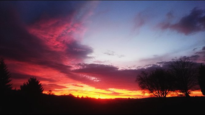 Sonnenaufgang bei Neustadt (Foto: C.Burkert) Sonnenaufgang bei Neustadt (Foto: C.Burkert)