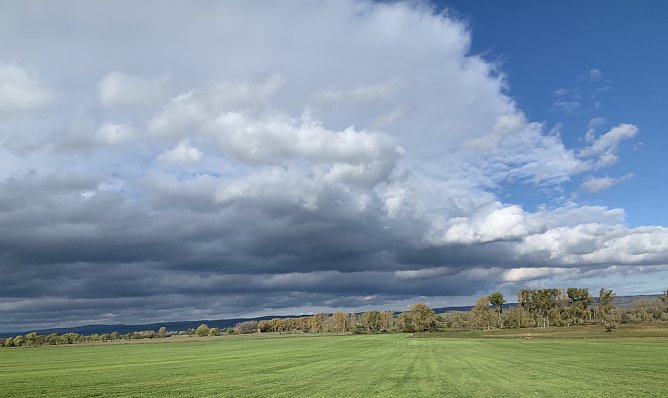 Bei Auleben (Foto: oas) Bei Auleben (Foto: oas)