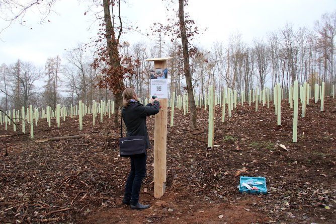 Sven Gerwin vom Sachgebietsbereich Umwelt und Gr&uuml;nordnung bringt eine erkl&auml;rende Tafel an. (Foto: oas)