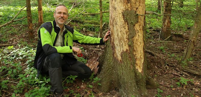 Im Fr&uuml;hjahr waren wir mit dem Leiter des Forstamtes Bleicherode, Gerd Thomsen, schon einmal im Wald unterwegs (Foto: agl)