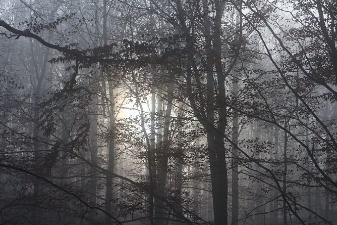 Wetterbild (Foto: agl) Wetterbild (Foto: agl)