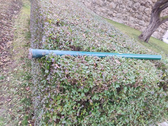 Sinnlose Zerstörung auf dem Petersberg (Foto: Peter Blei) Sinnlose Zerstörung auf dem Petersberg (Foto: Peter Blei)