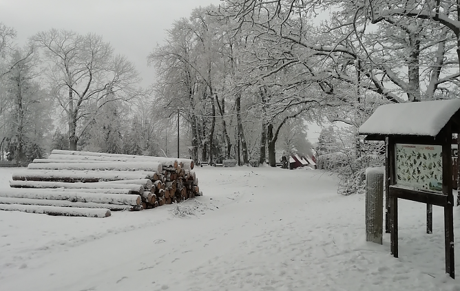 Sophienhof im Winterkleid (Foto: W. J&ouml;rgens)