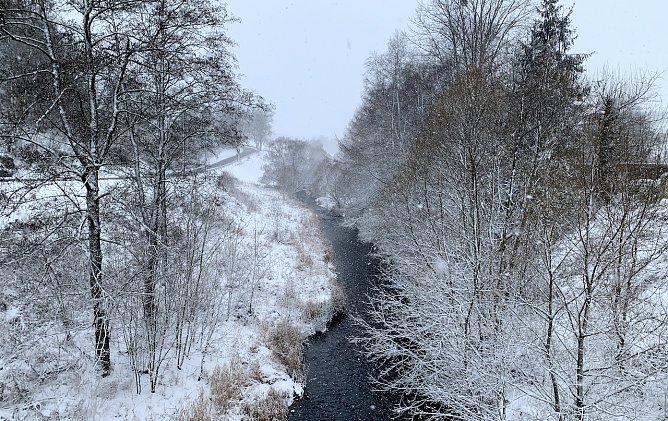 Blick von der Brücke in Tanne im Harz (Foto: oas) Blick von der Brücke in Tanne im Harz (Foto: oas)