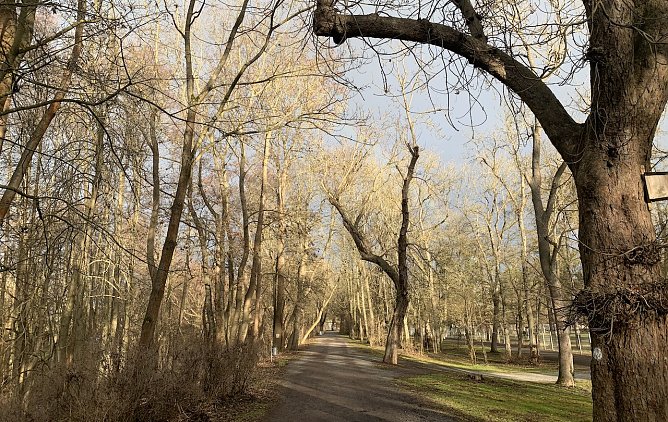 Im Stadtpark Nordhausen (Foto: oas) Im Stadtpark Nordhausen (Foto: oas)
