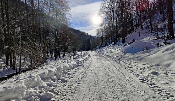 Im Brandesbachtal (Foto: P.Blei)